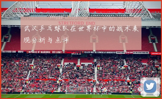 武汉乒乓球队在世界杯中的战术表现分析与点评