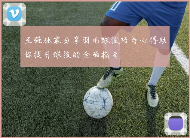 王强独家分享羽毛球技巧与心得助你提升球技的全面指南
