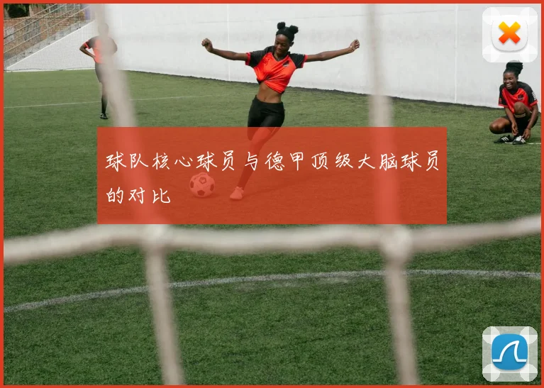球队核心球员与德甲顶级大脑球员的对比