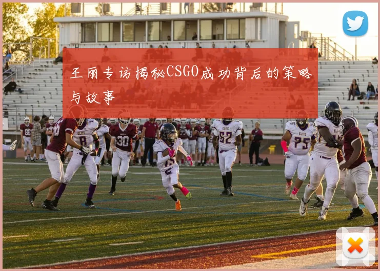 王丽专访揭秘CSGO成功背后的策略与故事